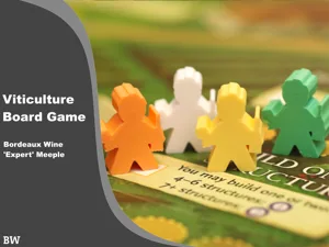 Viticulture Bordeaux 'Expert' Wine Meeple