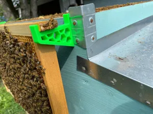 Bee hive frame holder