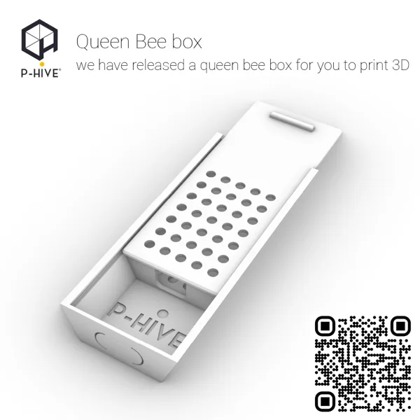 Queens box P-Hive