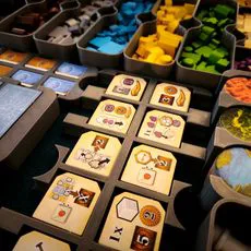 Age of Innovation 3D Printable Insert