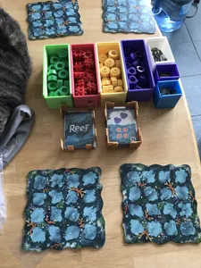 Reef board game insert
