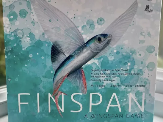 Finspan - upgrade (tokens and containers)