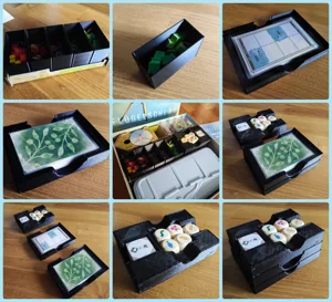Wingspan Organizer