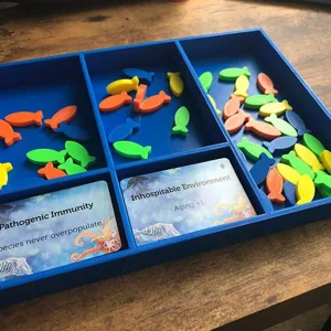 Oceans Fish Tray