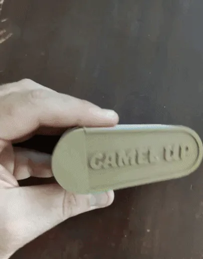 Camel Up coins and container