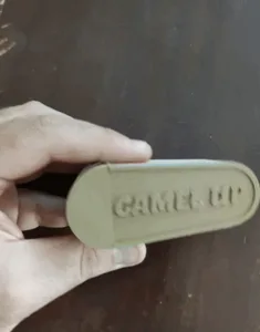 Camel Up coins and container
