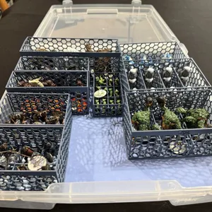 Miniature Storage Trays for Shadows of Brimstone - Western/OG