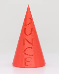 D20 Dunce Cap