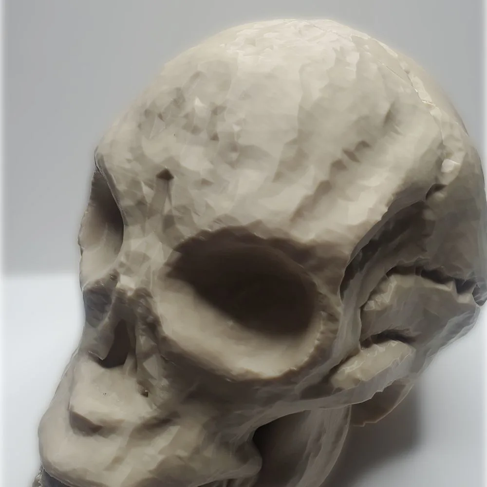 Skull EDH Deck Box