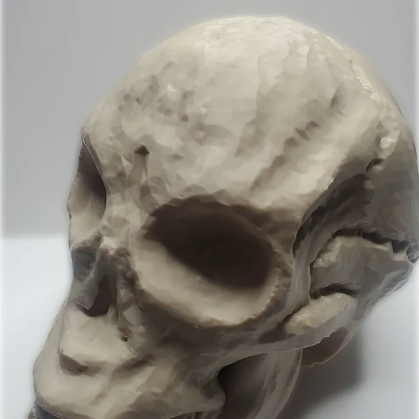 Skull EDH Deck Box