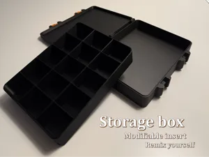 Storage Box with Removable Grid Insert