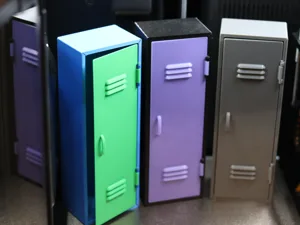 Mini High School Locker Organizer