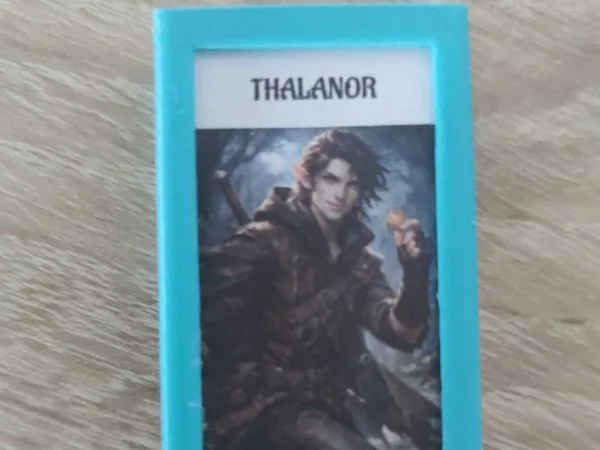 Initiative Tracker for thick DM Boards 6.5 mm