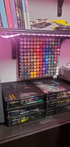 Wall mounted paint rack