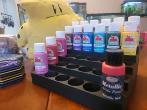 Paint Bottle Organizer, 24 count