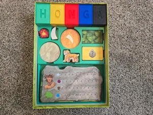 Honga Insert / Organizer