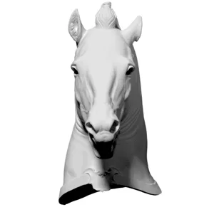 Horse Head (“Medici Riccardi” horse)