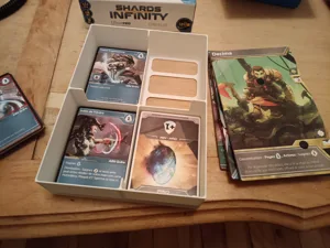 Shards of Infinity French