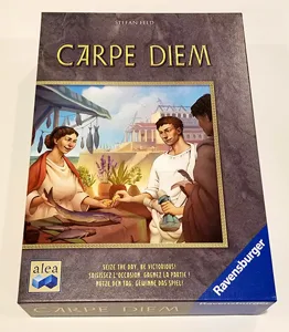 Carpe Diem Insert/Organizer