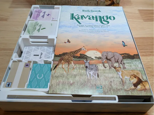 Kavango Box Organizer