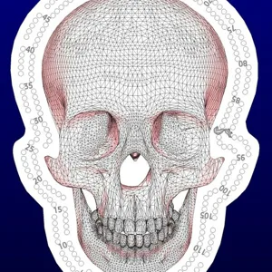 skull head cribbage board