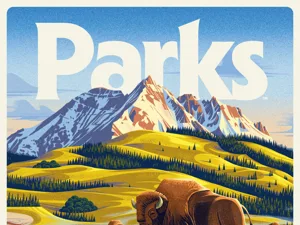 Parks Second Edition Summit Edition Insert