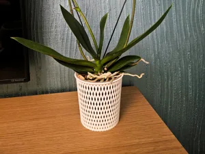 Orchid Pot To Increase Photosynthesis