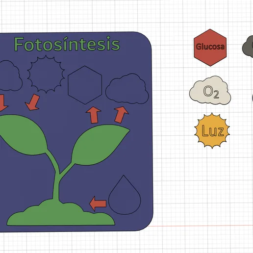 Photosynthesis