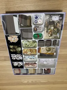 Anachrony Essential Edition Insert