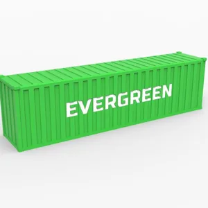 EVERGREEN 1:64 Dry Container - MINI GT Container Scale 1/64