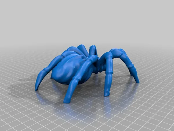 Spider