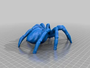 Spider