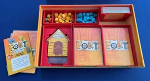 Fort + Cats Dogs Exp Insert