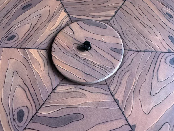 rats of wistar wheel clip