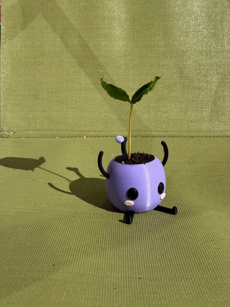 Stardew Valley Junimo Planter