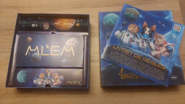 MLEM Space Agency