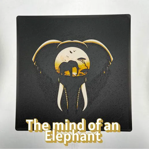 The Mind of an Elephant
