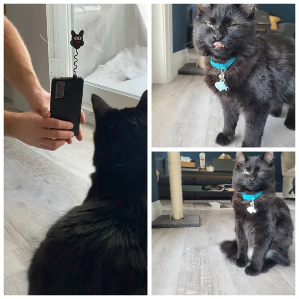 Attention Holder for Pet Pictures