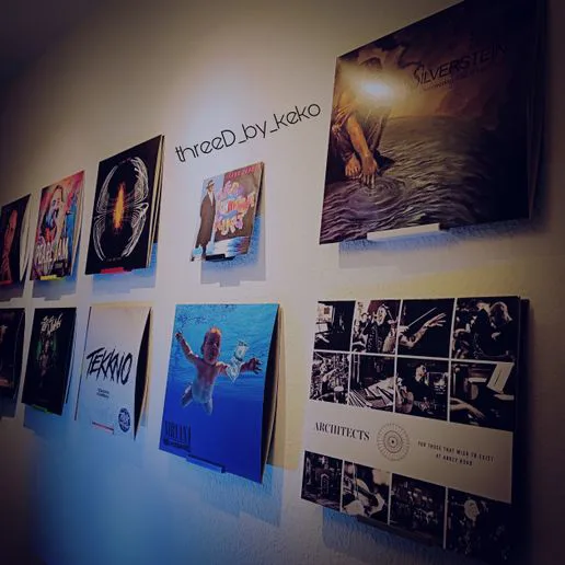 Record - Vinyl - Pictures - Holder - Wall mounting