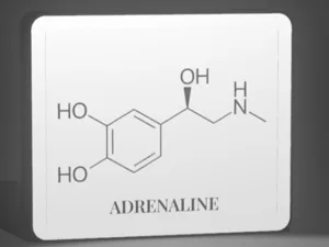 Adrenaline Lightbox