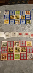 Rivals for Catan - grid and boxes