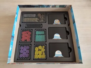 Foundations of Metropolis Insert / Organizer