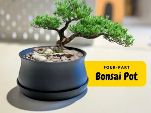 Bonsai / Plant Pot with Drip Tray, Drainage mesh