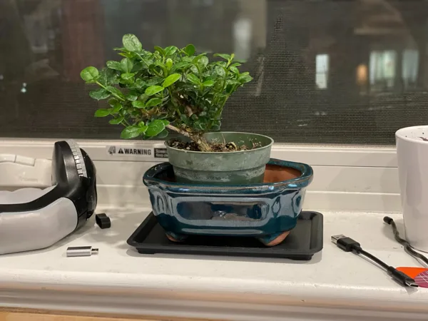 Small Bonsai Humidity Tray