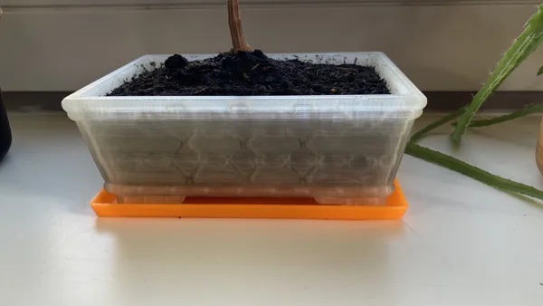 Rectangle bonsai tray