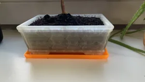 Rectangle bonsai tray