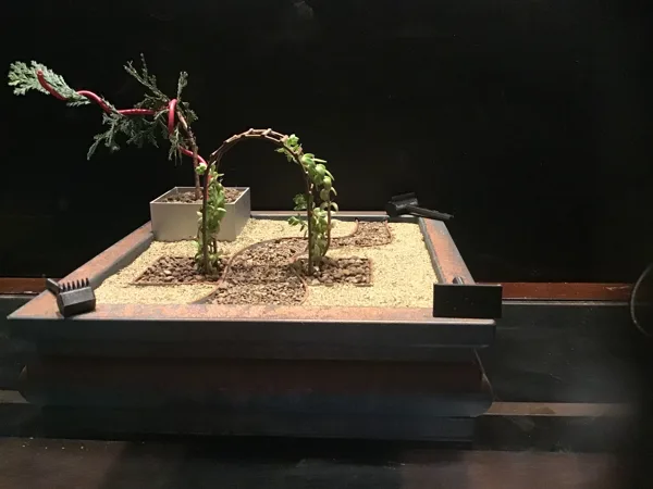 Large Zen Garden with Bonsai tree and small plant pots and drip tray and arch
