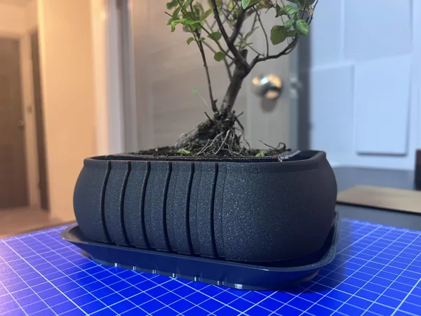 Bonsai Tree Planter with Drainage Tray