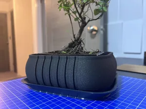Bonsai Tree Planter with Drainage Tray