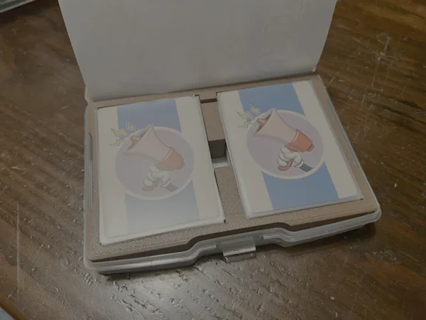Insert for Fliptoons in a 4x6 Picture Box
